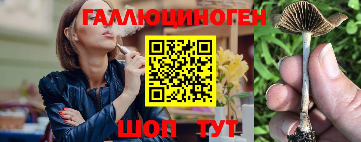 Глазов  Галлюциногенные грибы Cubensis  Вход с VPN  Псилоцибиновые грибы Psilocybe 